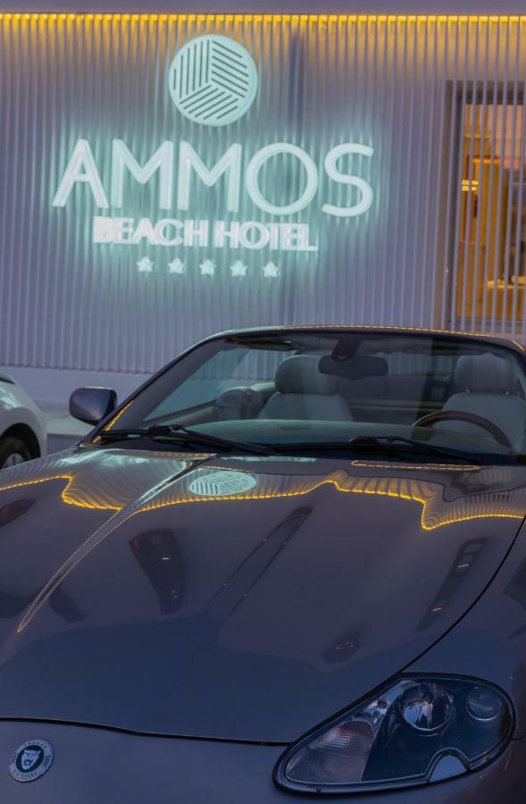 Enorme Ammos Beach Resort 말리아 외부 사진